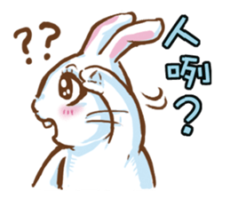 hotot bunny sticker #13435575