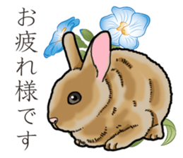 Fluffy wild rabbit sticker #13435743