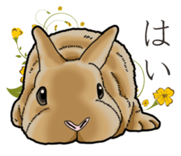 Fluffy wild rabbit sticker #13435746