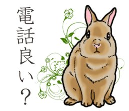 Fluffy wild rabbit sticker #13435747