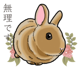 Fluffy wild rabbit sticker #13435751