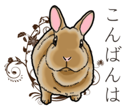 Fluffy wild rabbit sticker #13435752