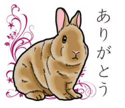 Fluffy wild rabbit sticker #13435753