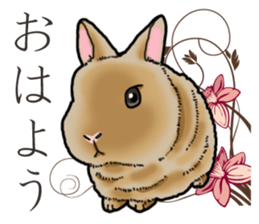 Fluffy wild rabbit sticker #13435754
