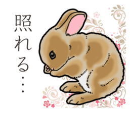 Fluffy wild rabbit sticker #13435755