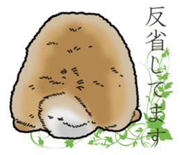 Fluffy wild rabbit sticker #13435756