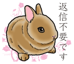 Fluffy wild rabbit sticker #13435757