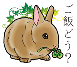 Fluffy wild rabbit sticker #13435758
