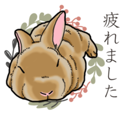Fluffy wild rabbit sticker #13435760