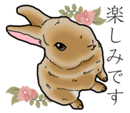 Fluffy wild rabbit sticker #13435762