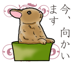 Fluffy wild rabbit sticker #13435765