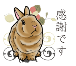 Fluffy wild rabbit sticker #13435767