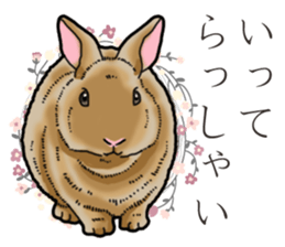 Fluffy wild rabbit sticker #13435768