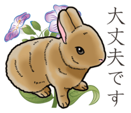 Fluffy wild rabbit sticker #13435771