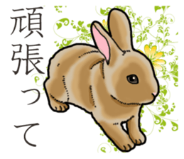 Fluffy wild rabbit sticker #13435772
