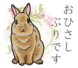 Fluffy wild rabbit sticker #13435773