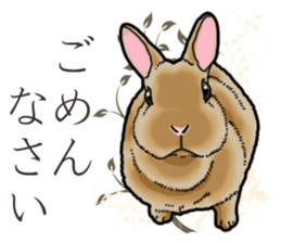 Fluffy wild rabbit sticker #13435774