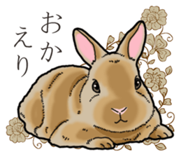 Fluffy wild rabbit sticker #13435775