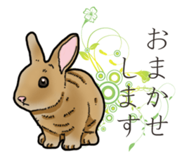 Fluffy wild rabbit sticker #13435776