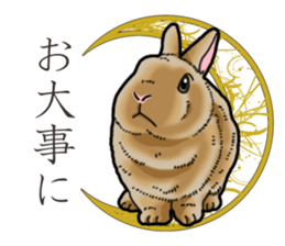 Fluffy wild rabbit sticker #13435777