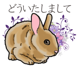 Fluffy wild rabbit sticker #13435778