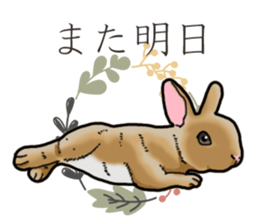 Fluffy wild rabbit sticker #13435779