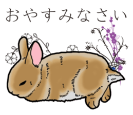 Fluffy wild rabbit sticker #13435781
