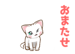 Move cat! sticker #13435794