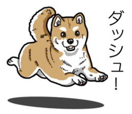 Daily Aka Shiba Inu sticker #13437425