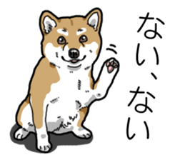 Daily Aka Shiba Inu sticker #13437427