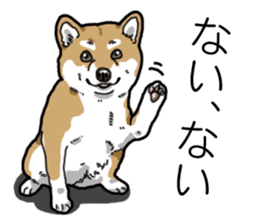 Daily Aka Shiba Inu sticker #13437427