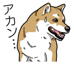 Daily Aka Shiba Inu sticker #13437430