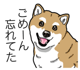 Daily Aka Shiba Inu sticker #13437432