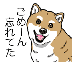 Daily Aka Shiba Inu sticker #13437432