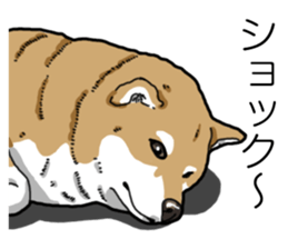 Daily Aka Shiba Inu sticker #13437433