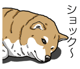 Daily Aka Shiba Inu sticker #13437433