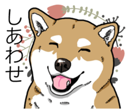 Daily Aka Shiba Inu sticker #13437434