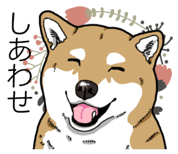 Daily Aka Shiba Inu sticker #13437434