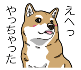 Daily Aka Shiba Inu sticker #13437436