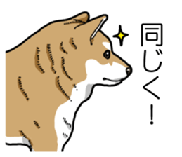 Daily Aka Shiba Inu sticker #13437438