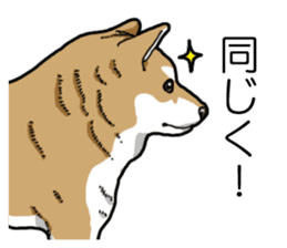 Daily Aka Shiba Inu sticker #13437438