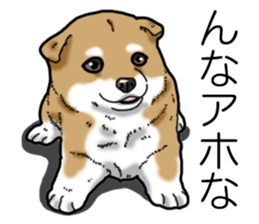 Daily Aka Shiba Inu sticker #13437440