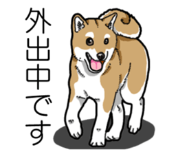 Daily Aka Shiba Inu sticker #13437447
