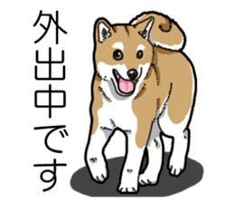 Daily Aka Shiba Inu sticker #13437447