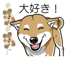 Daily Aka Shiba Inu sticker #13437451