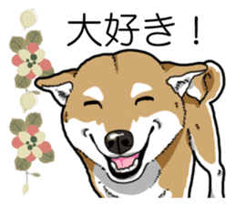 Daily Aka Shiba Inu sticker #13437451
