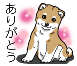 Daily Aka Shiba Inu sticker #13437453