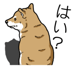 Daily Aka Shiba Inu sticker #13437458
