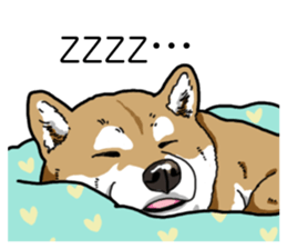 Daily Aka Shiba Inu sticker #13437461