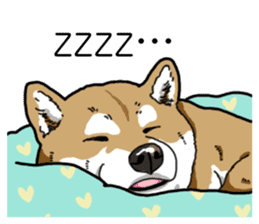 Daily Aka Shiba Inu sticker #13437461